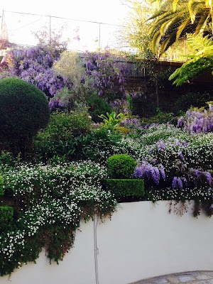 Able lawns and gardening services