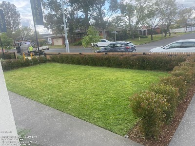 ACL Landscape Management