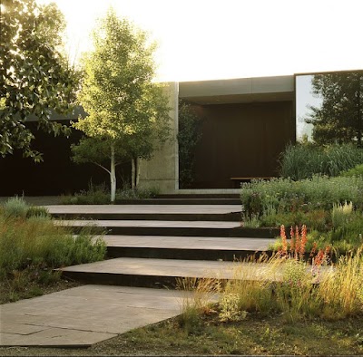 Apex Studio Landscape Architecture