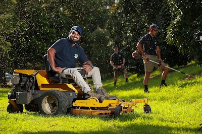 Bizzy Mowing - Lawn Mowing & Garden Maintenance Inner West