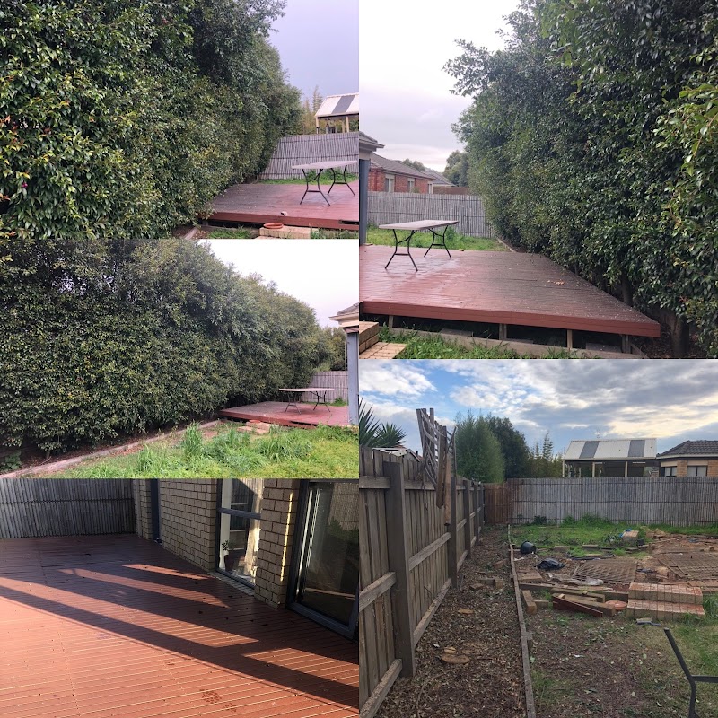 A Grade Garden And Tree Maintenance work 1