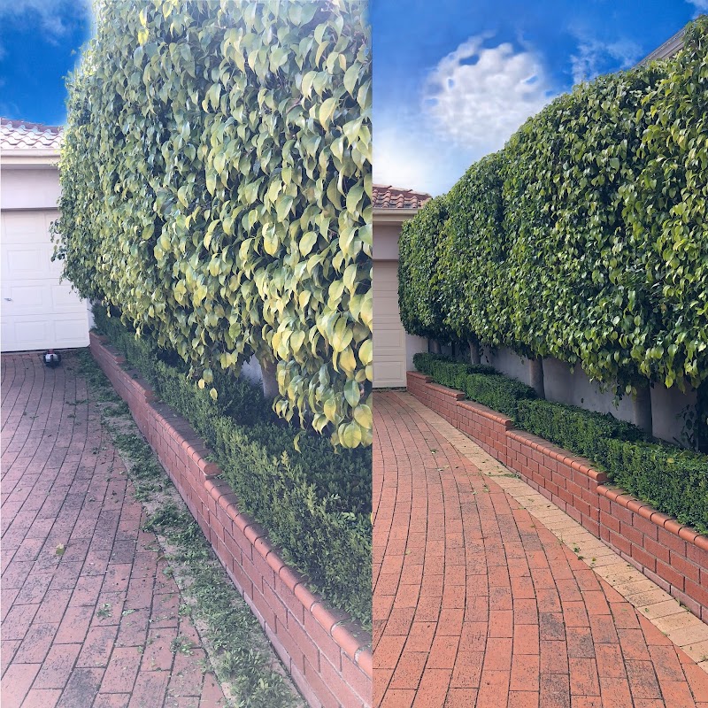 A Grade Garden And Tree Maintenance work 4