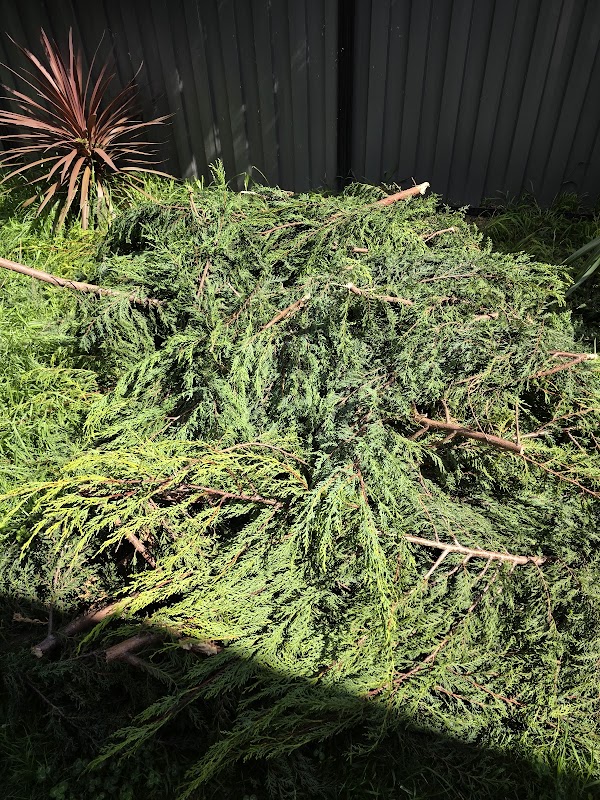 A Grade Garden And Tree Maintenance project 6