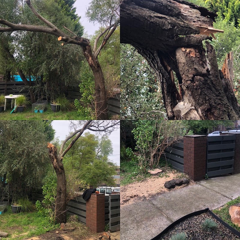A Grade Garden And Tree Maintenance project 7