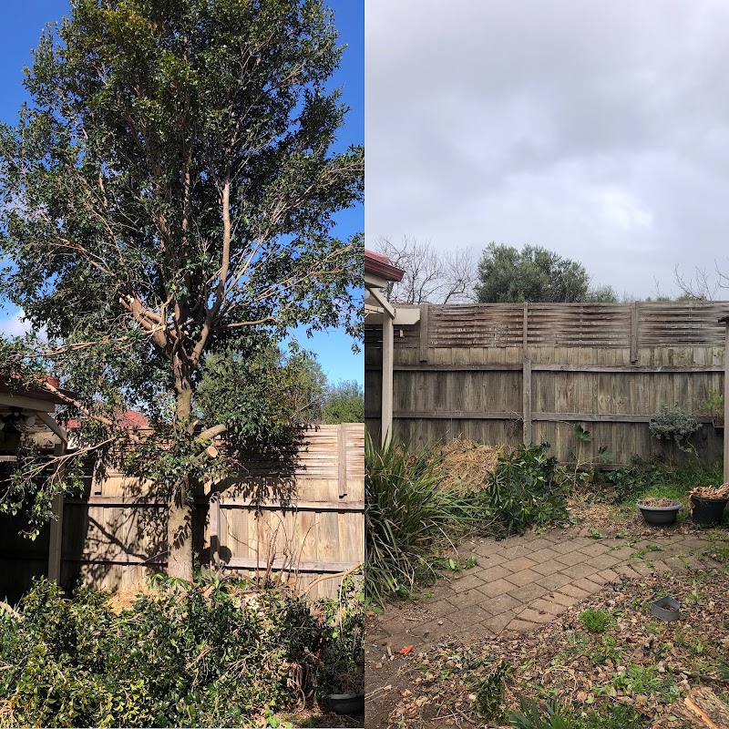 A Grade Garden And Tree Maintenance project 8