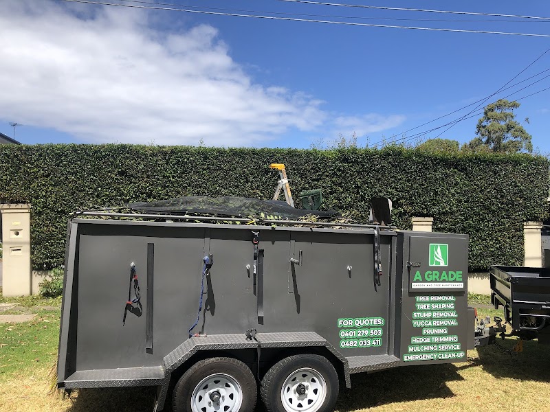 A Grade Garden And Tree Maintenance project 10