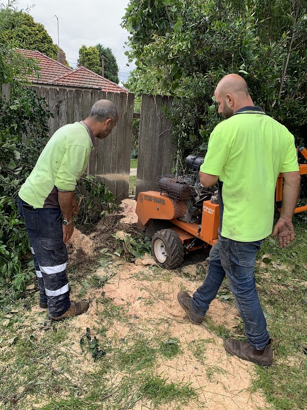 AAA AARDVARK TREE LOPPING AND GARDENING photo 3