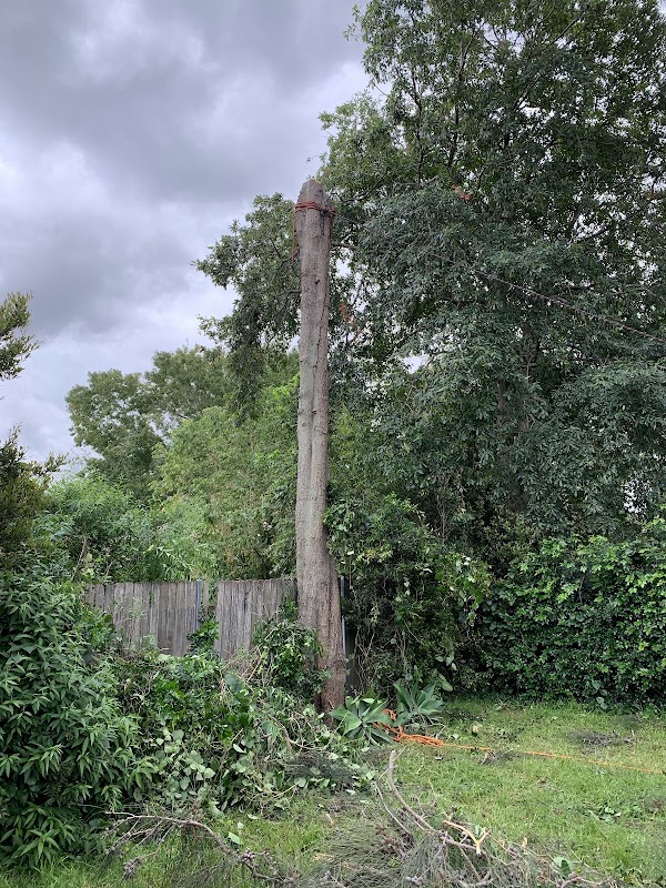 AAA AARDVARK TREE LOPPING AND GARDENING project 5