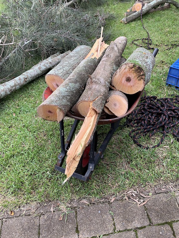 AAA AARDVARK TREE LOPPING AND GARDENING project 9