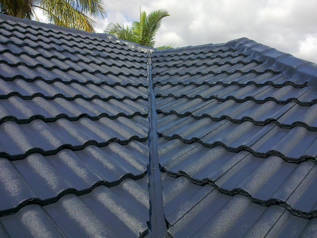 Aapex Roof Repairs work 1