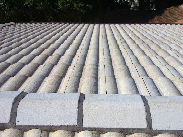 Aapex Roof Repairs work 2