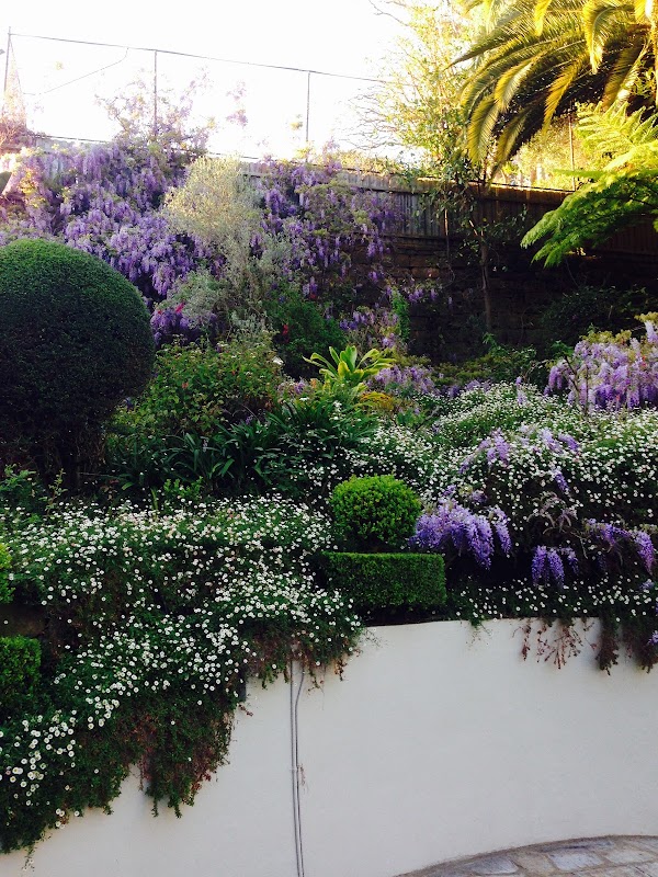 Able lawns and gardening services work 2