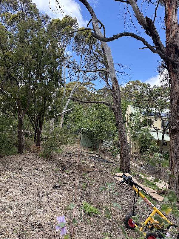 Abode Fencing Adelaide project 9