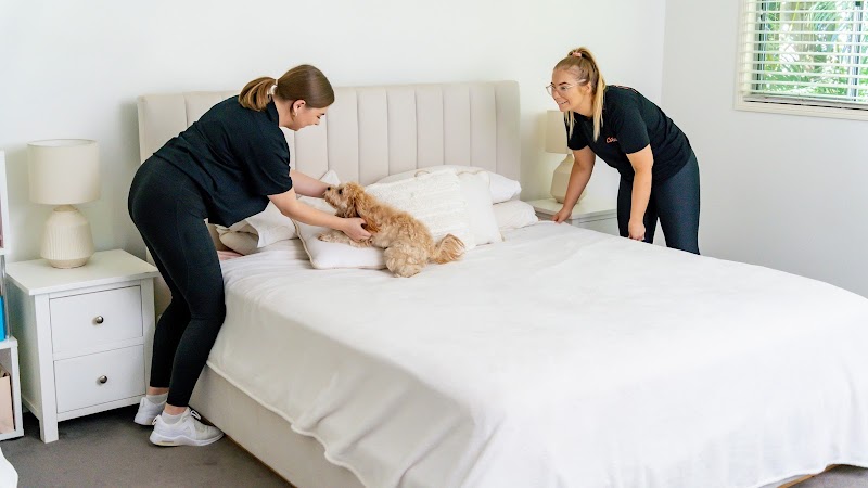 Absolute Domestics work 4