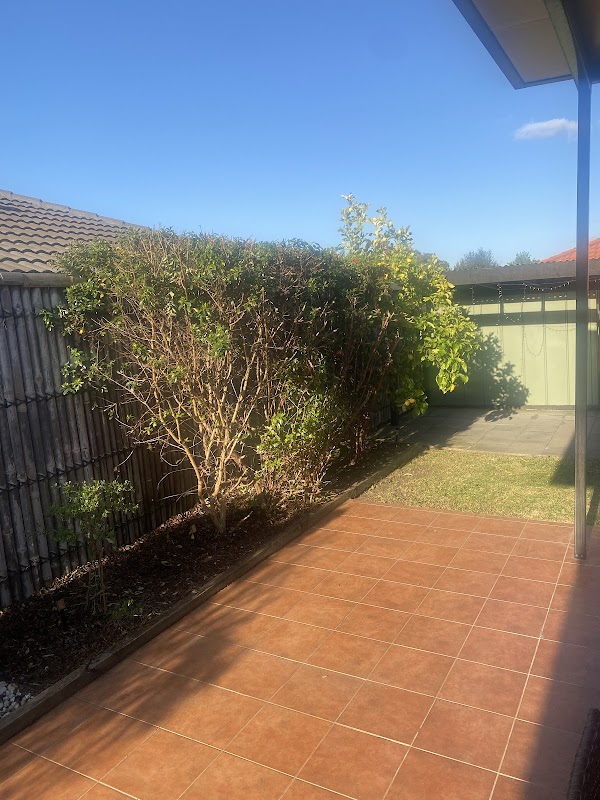 Act House & Landscaping Maintenance project 6