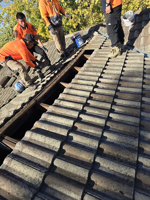 Act Roofer & Painter project 8