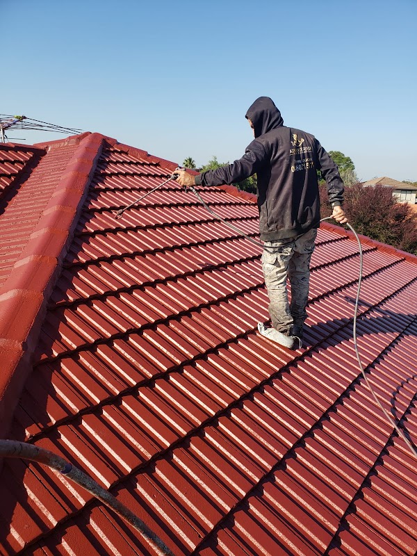 Advance Roof Care and painting work 2