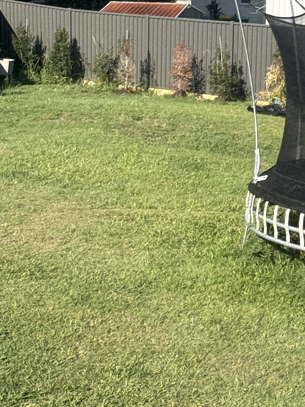Affordable fencing goldcoast project 6
