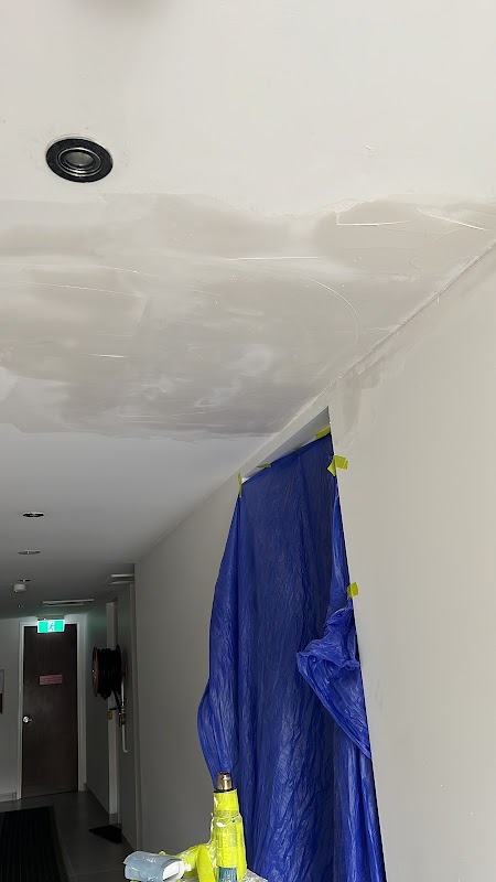 AG PAINTING & PLASTERING REPAIR SERVICES project 8