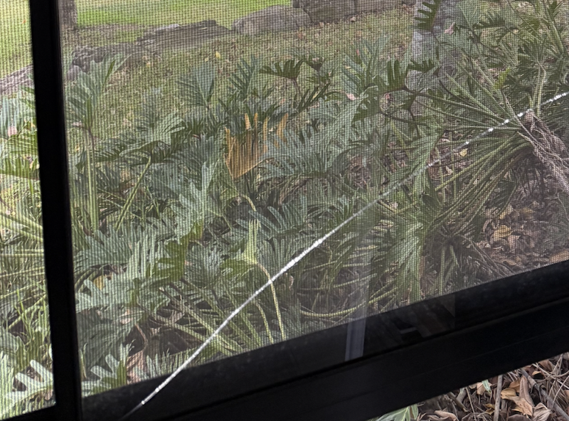 AGC Glass cover