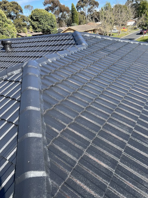 Ahu Roof Restoration Cleaning Painting Flexible Repointing Guttering replacement work 1