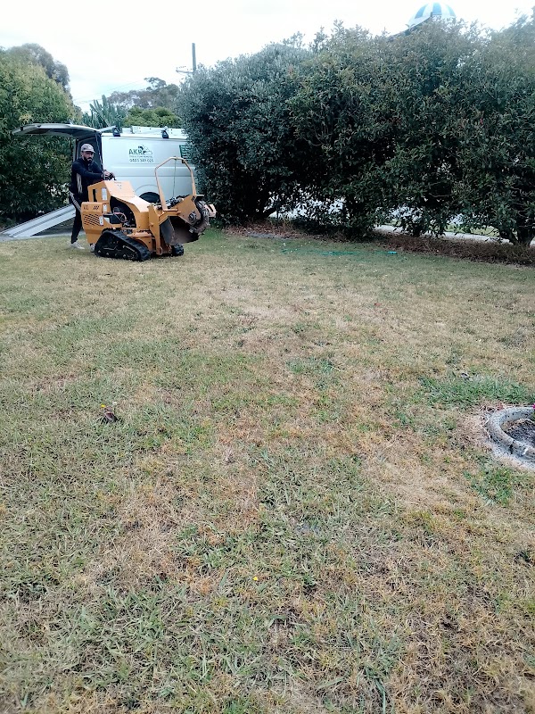 Akr tree services photo 3