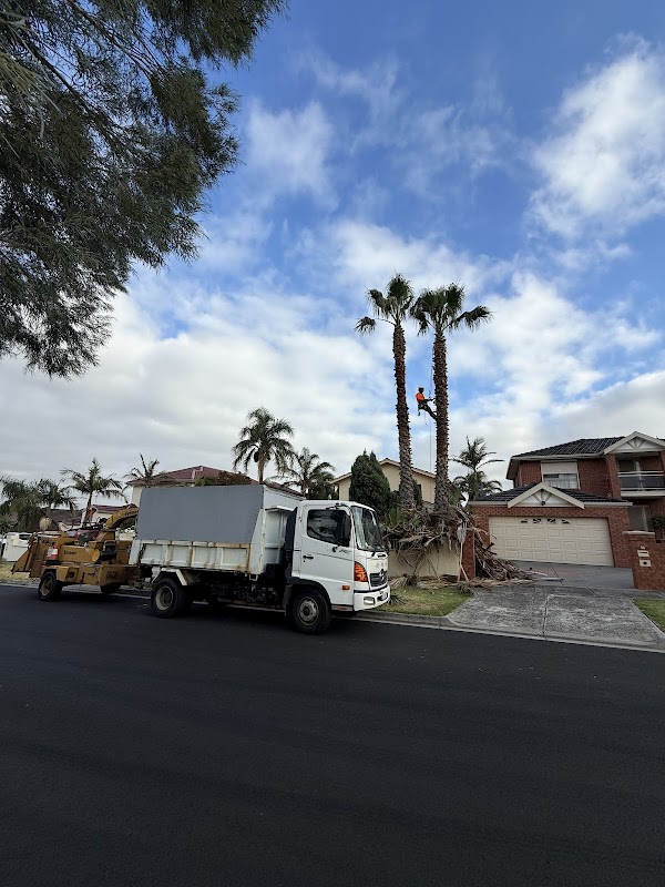 Akr tree services project 9