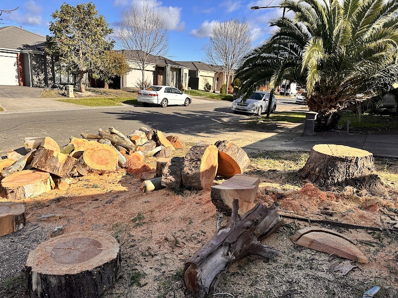 Akr tree services project 10