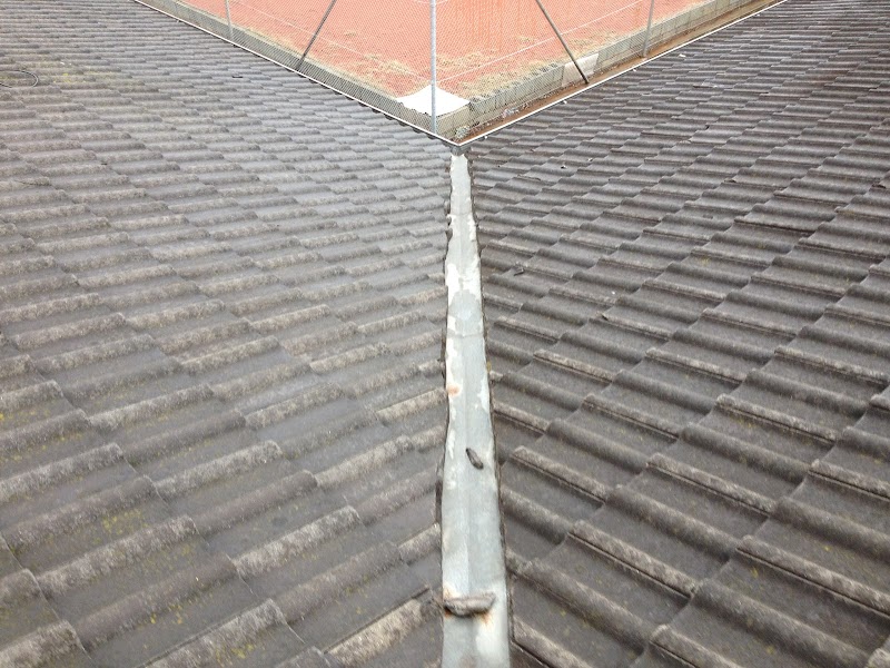 Al's Roofing & Restoration project 6