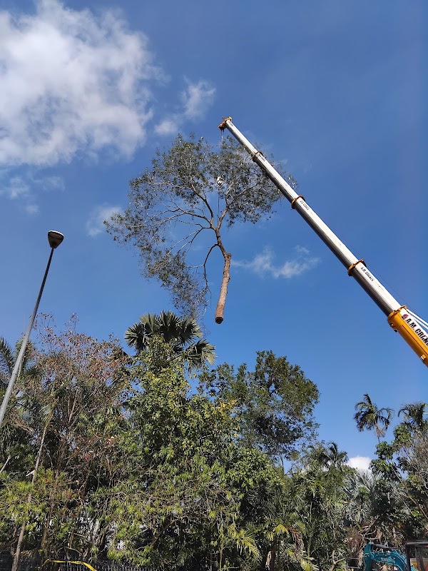 All About Garden Care Darwin work 4