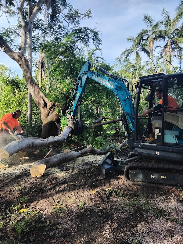 All About Garden Care Darwin project 7