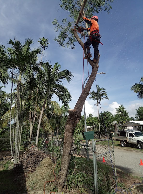 All About Garden Care Darwin project 9