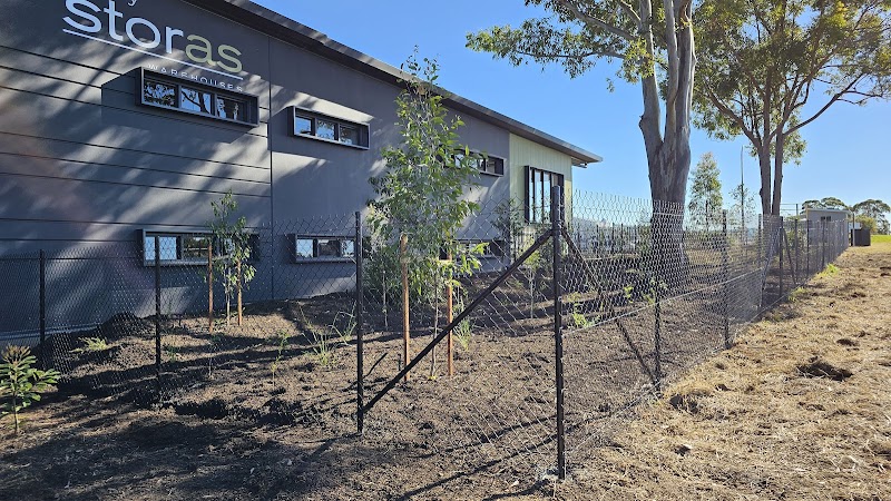 All Fencing Aura project 10