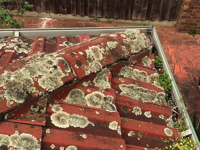 All Seasons Recover Roof Restoration project 8