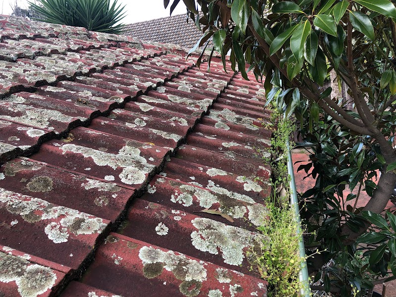 All Seasons Recover Roof Restoration project 10