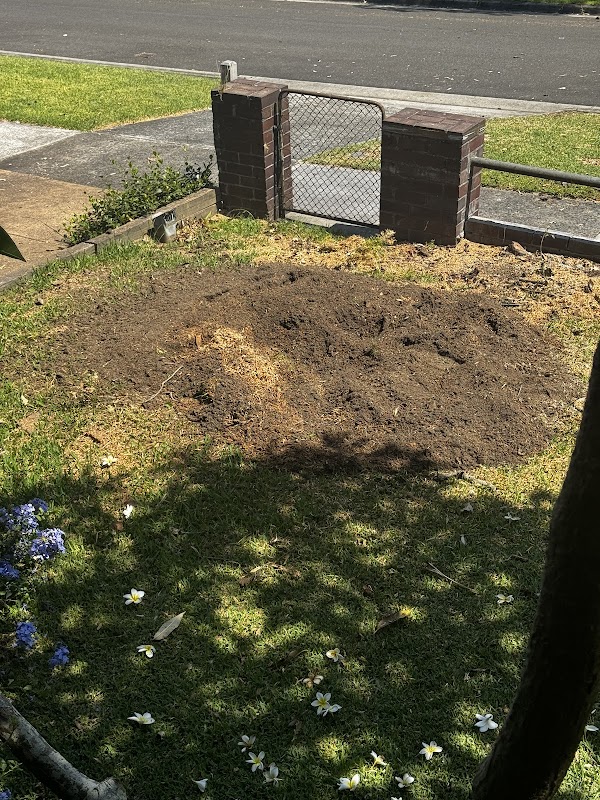 All tree services Canberra and Gosford photo 3