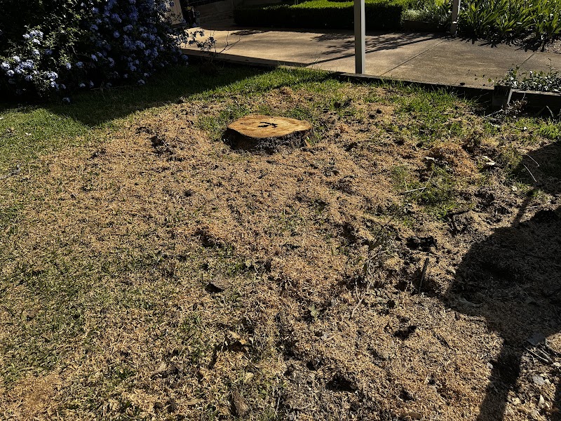 All tree services Canberra and Gosford project 7