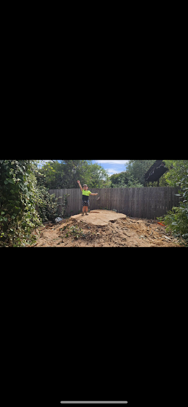 All tree services Canberra and Gosford project 10