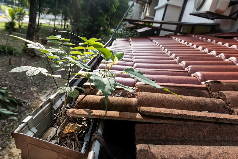 All-U-Need Gutter Cleaning work 1