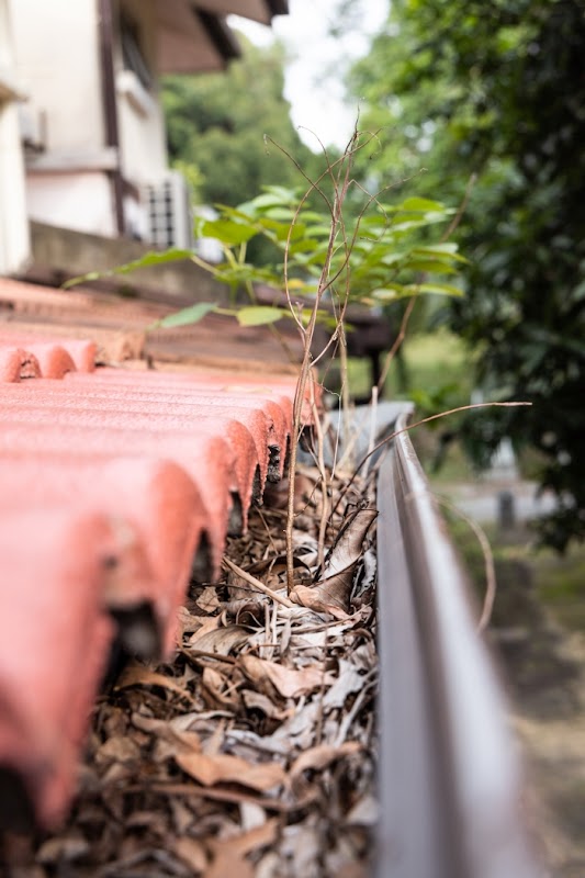All-U-Need Gutter Cleaning work 4