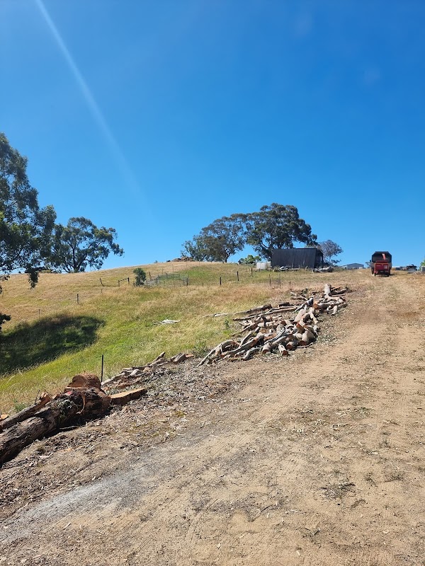 Altitude Tree Surgery project 10