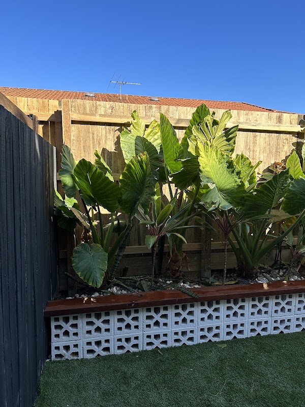 Amazing Fencing QLD work 3