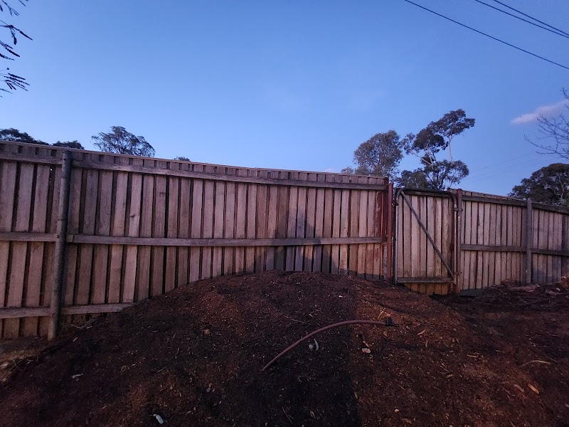 Any Tree Arboriculture - Inny Dean project 8
