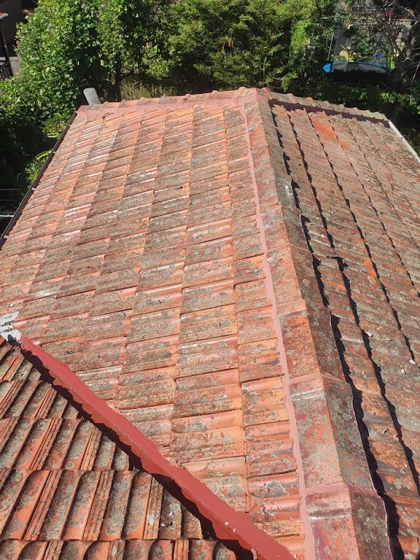 Anything Roofing project 5