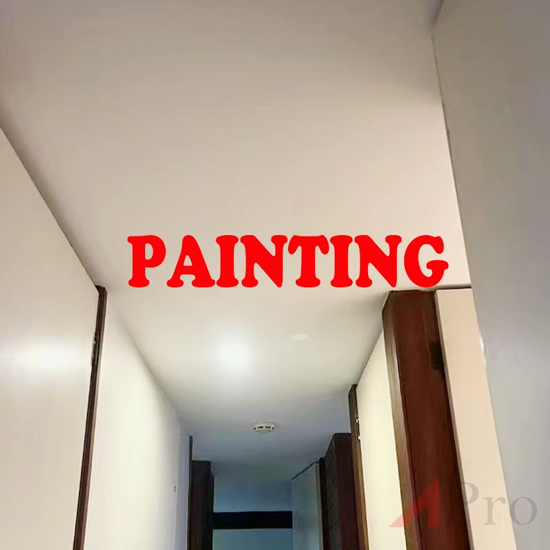 APro Painting Plastering Maintenance project 6