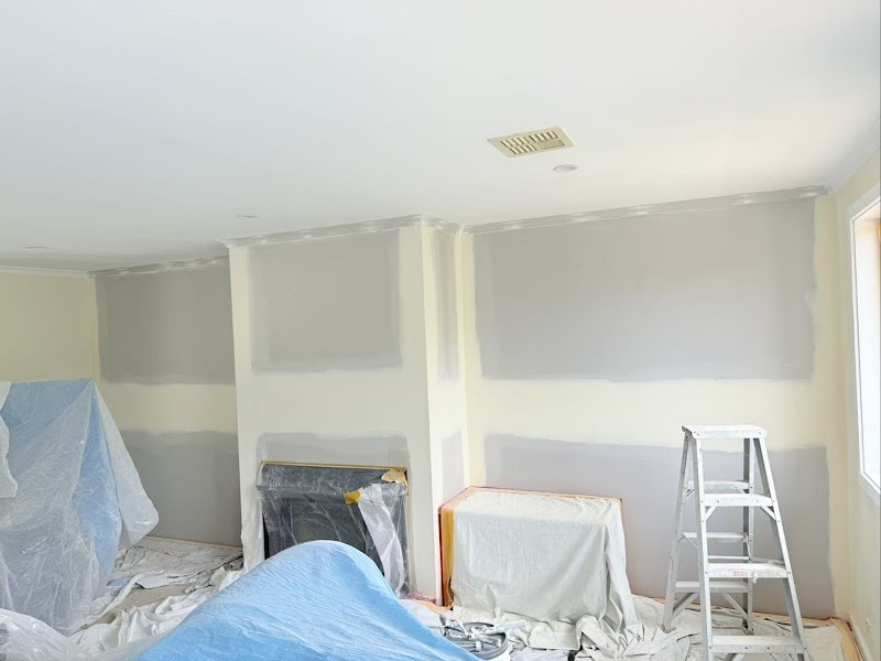 APro Painting Plastering Maintenance work 2
