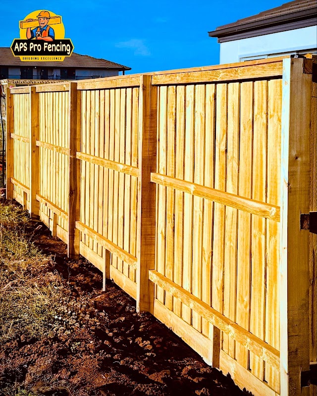 APS Pro Fencing project 7