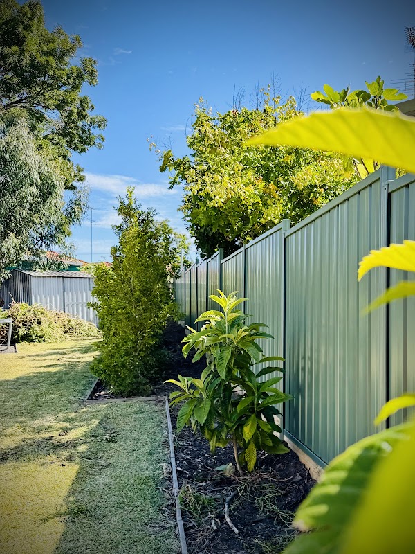 APS Pro Fencing project 8
