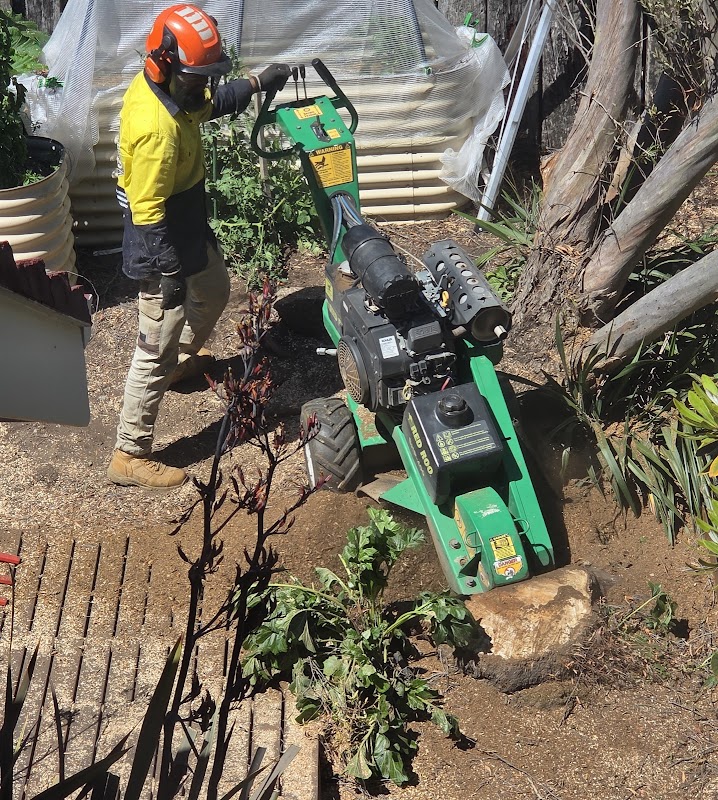 Arborista Trees work 2