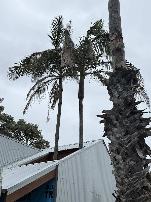 ARC Metal Roofing project 5